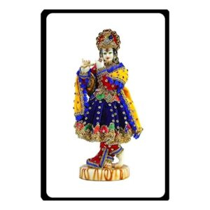 krishna statue with vastra