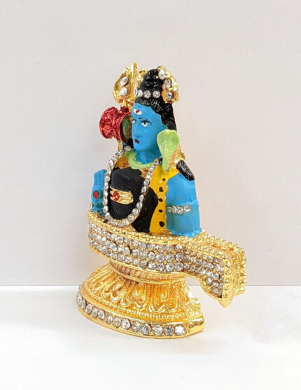 side view Car Dashboard Idol Shiva with shivling - Color