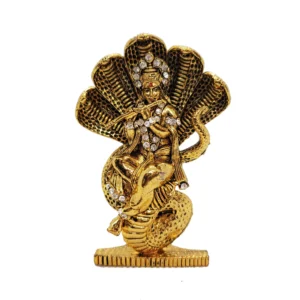 Image of Krishna Car dashboard Idol