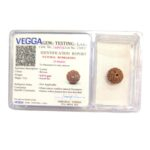 Authentic 9 Mukhi Rudraksha with Lab Certificate