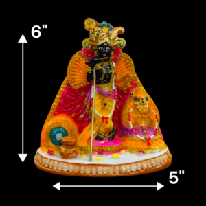 Shri Banke Bihari Idol