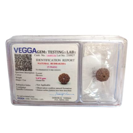 9 Mukhi rudraksha bead