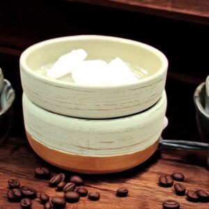 Electric Camphor Diffuser & Wax Warmer