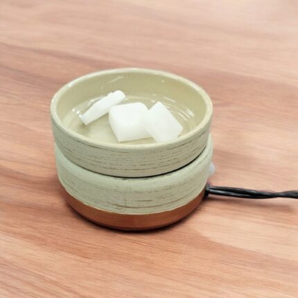 Electric Camphor Diffuser & Wax Warmer