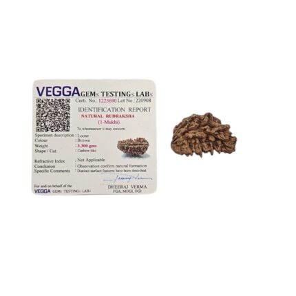 Lab Certified Natural 1 mukhi rudraksha