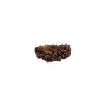 1 mukhi rudraksha-28 mm