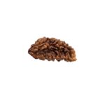 1 mukhi rudraksha-29 mm