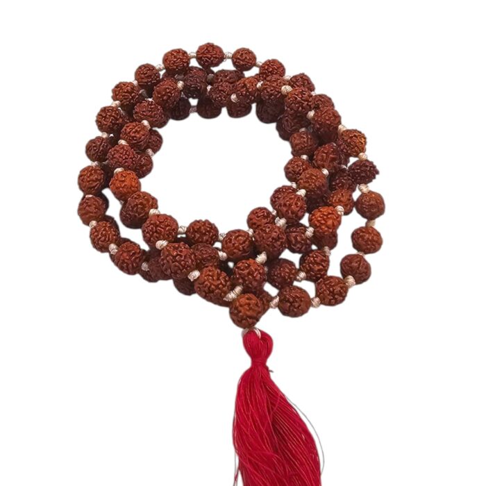 Rudraksh Jaap Mala | 8 mm natural Rudraksha Bead Jap Mala | Rudraksha mala