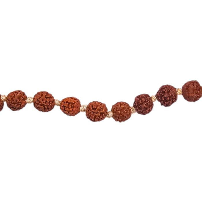 Rudraksh Jaap Mala | 8 mm natural Rudraksha Bead Jap Mala | Rudraksha mala