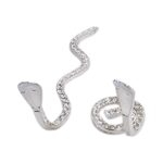 Silver Naag Nagin | Naag Nagin Joda for Pooja | Pure Silver Naag Nagin