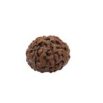 Authentic 9 Mukhi Rudraksha with Lab Certificate
