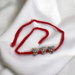 Premium Rakhi for quick delivery in Canada and USA