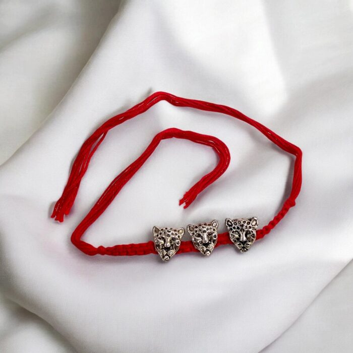 Premium Rakhi for quick delivery in Canada and USA