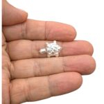 Silver Tortoise for Pooja - 2 cm