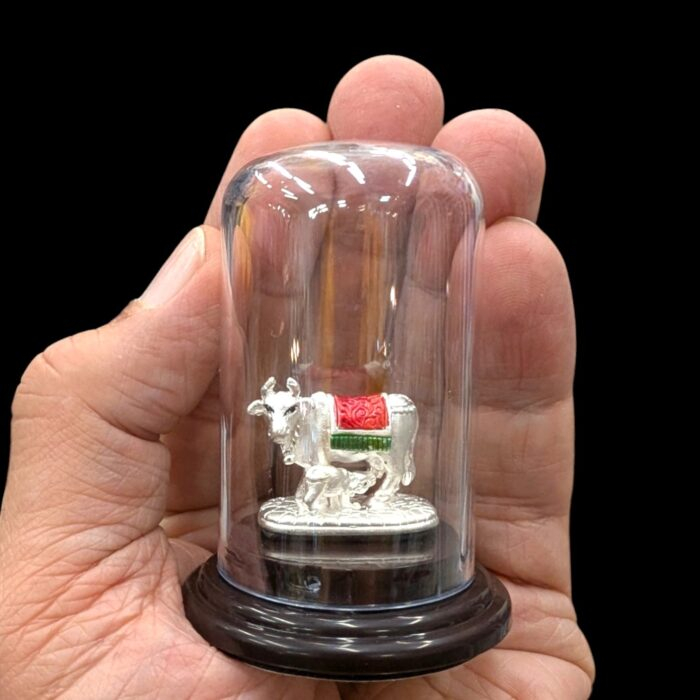 Close up of Pure Silver Kamdhenu Cow