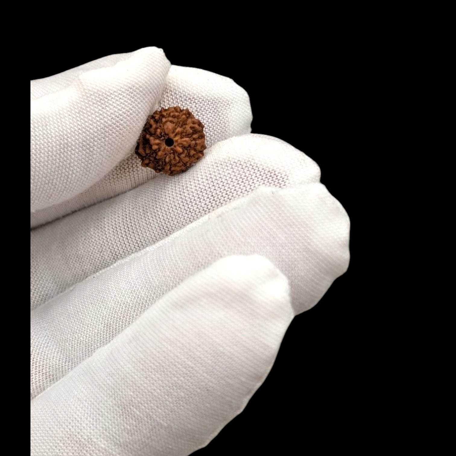 Photoroom-20250724_172630_1.jpg 8 Mukhi Rudraksha bead - Image 1