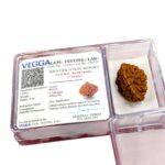 Natural Rudraksha - 2 Mukhi rudraksha bead | Lab Certified Natural Rudraksha - Image 3