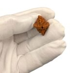 Natural Rudraksha - 2 Mukhi rudraksha bead | Lab Certified Natural Rudraksha