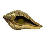 Brass Shankh with embossing - Large | Non blowing conch - Image 3