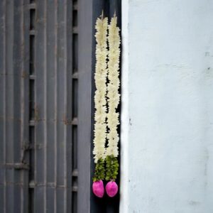 Pair of Lotus strings - 25 inch | Diwali Decorations