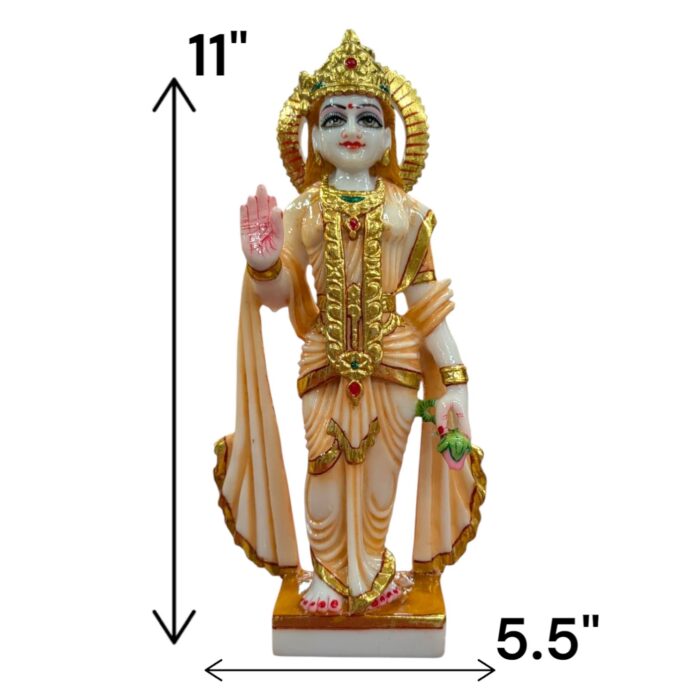Dimensions of the Murti