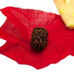 11 faced Rudraksh in Canada