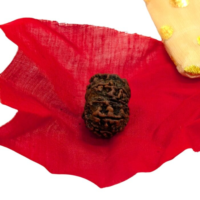 11 faced Rudraksh in Canada