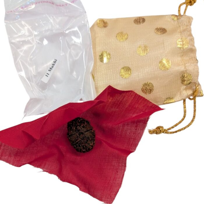 11 faced rudraksha bead | Natural Rudraksh