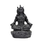 Close up of Shiv Idol