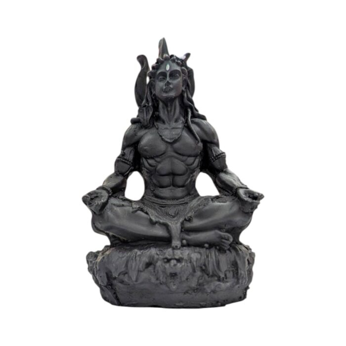 Close up of Shiv Idol