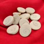Pooja Gomti Chakra - Pack of 11 | Natural Gomti chakra
