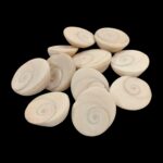 Pooja Gomti Chakra - Pack of 11 | Natural Gomti chakra
