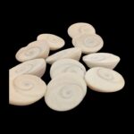 Pooja Gomti Chakra - Pack of 11 | Natural Gomti chakra