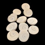 Pooja Gomti Chakra - Pack of 11 | Natural Gomti chakra