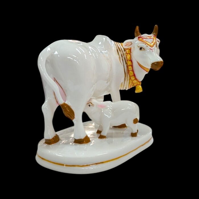 Side Profile of white kamdhenu | Annapurna