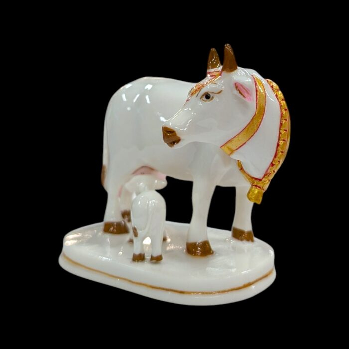 Side Profile of white kamdhenu cow | Annapurna