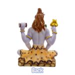 Back profile view of Shiva Idol