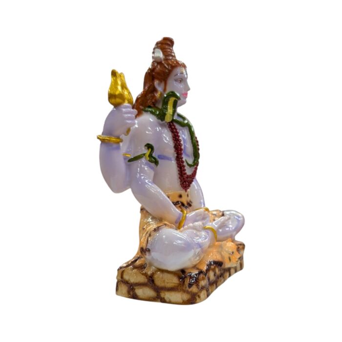 Side profile view of Shiva Idol