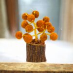 Natural rudraksha bead on Tree of life