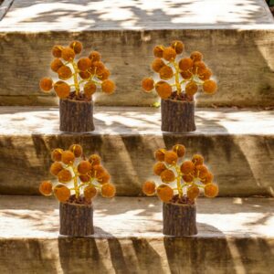 Tree of life with Rudraksha Beads | Ultimate meditation room additions