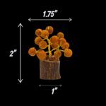 Dimensions of Small Tree of life with Natural rudraksha beads