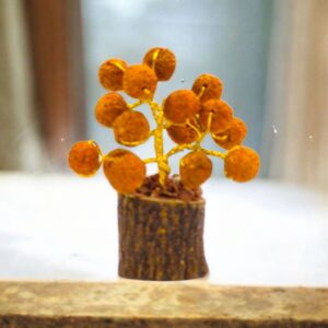 Natural rudraksha bead on Tree of life